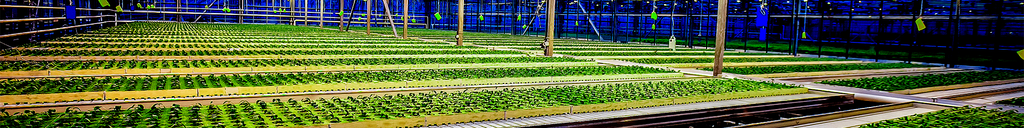 ダイリュウ・アグリ・積水化学農業資材カタログ