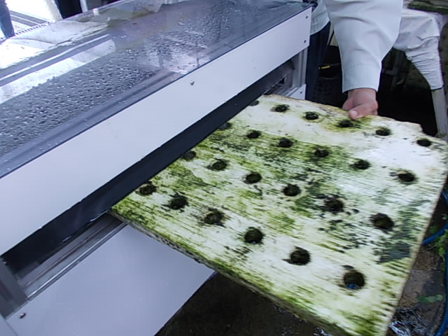 硬めのブラシで洗浄