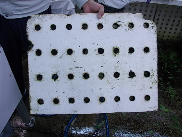 数回で真っ白パネルに！